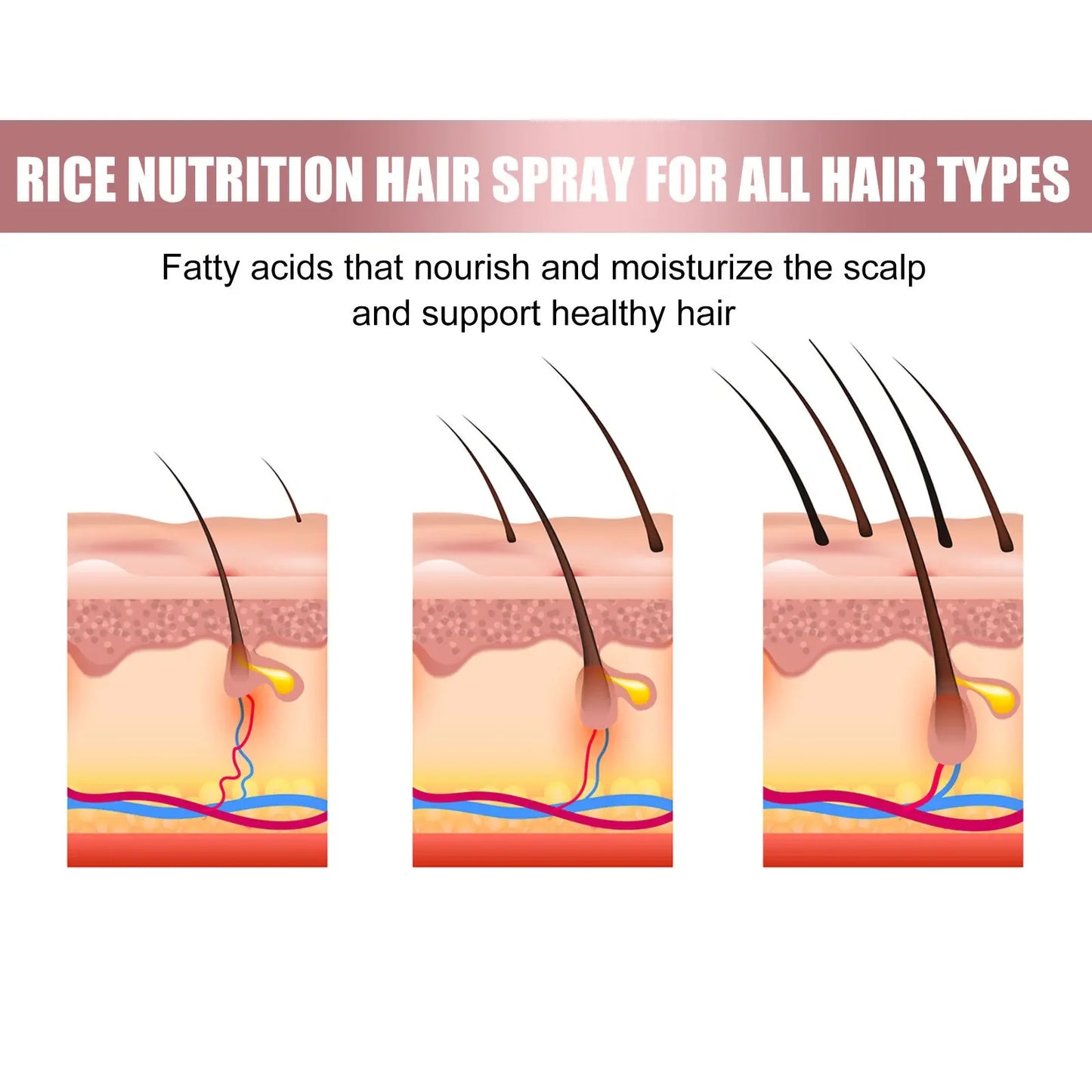 Rice Dense Hair Spray