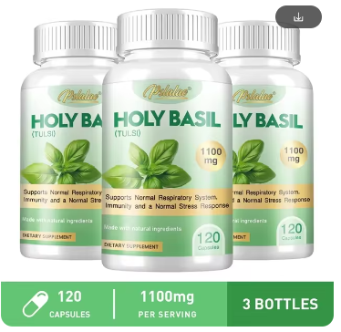 Holy Basil