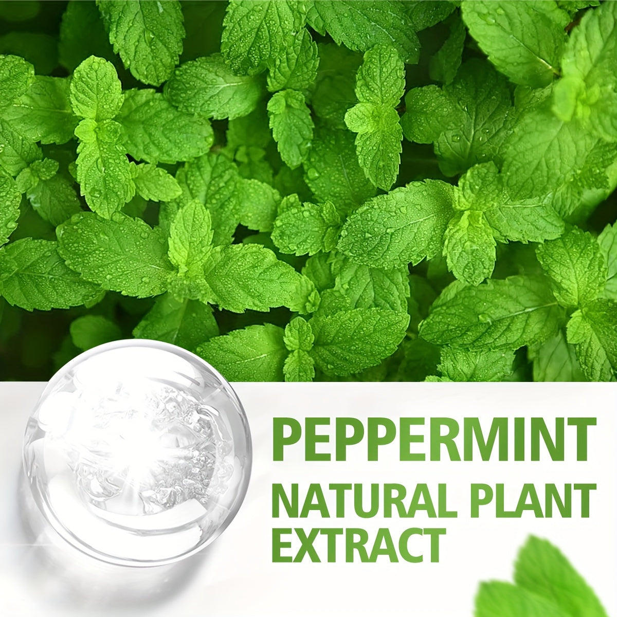 Peppermint Plant Essential Oil Face Body Skin Care Essential Oil