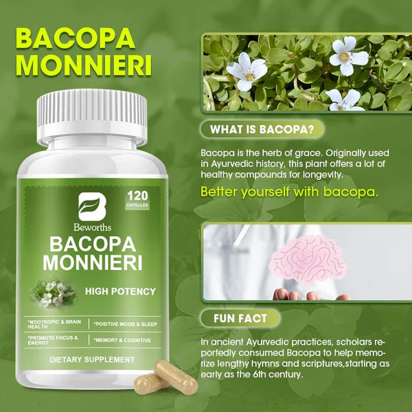 Bacopa Monnieri Capsule