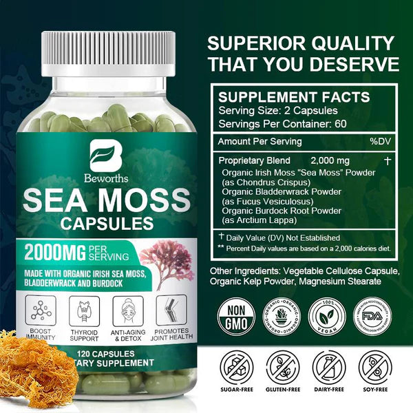 Organic Sea Moss Pill