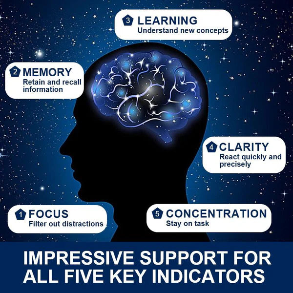 Plus Vegetarian Brain Health