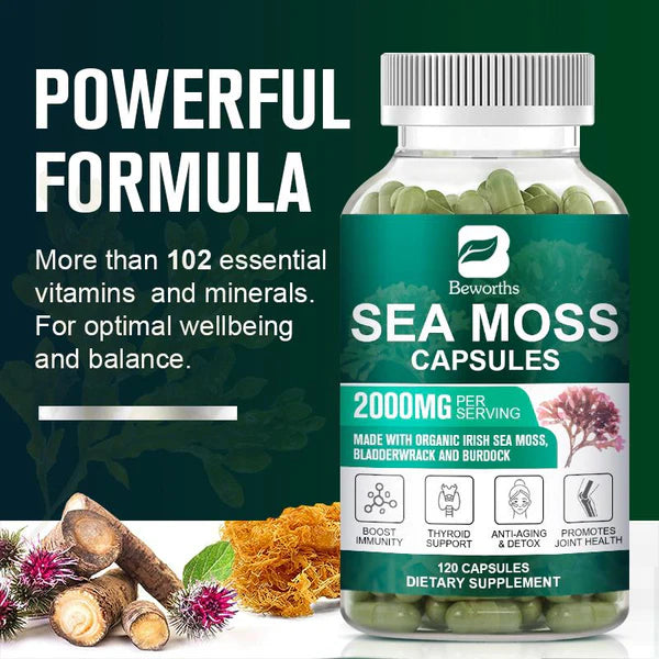Organic Sea Moss Pill