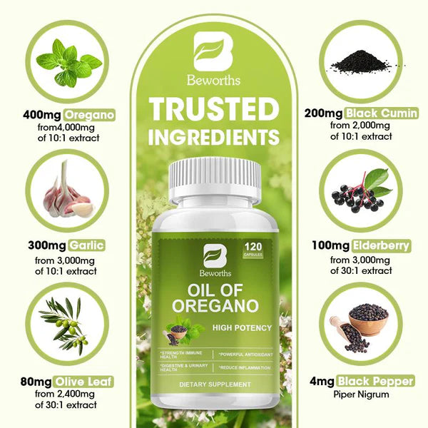 Origanum Extract Oregano Oil Capsule