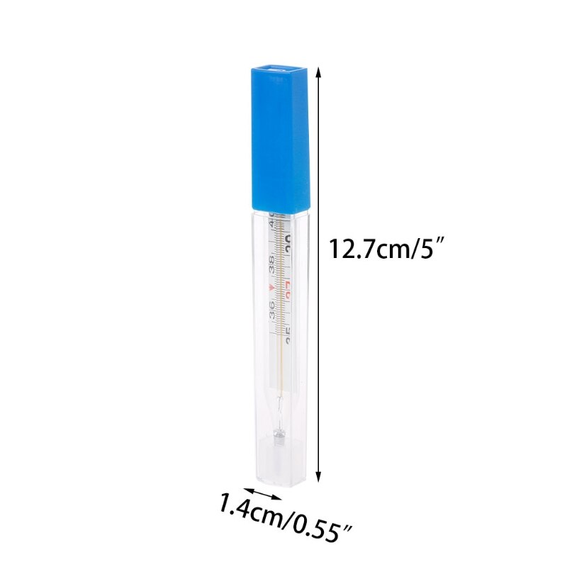 Mercury Glass Thermometer