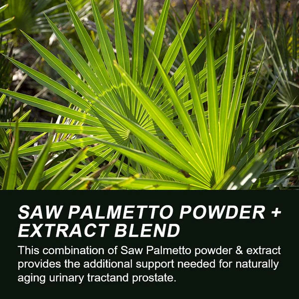 Saw Palmetto Capsules