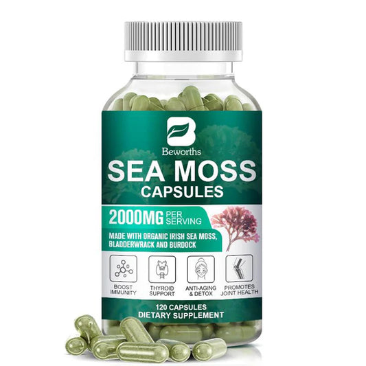 Organic Sea Moss Pill
