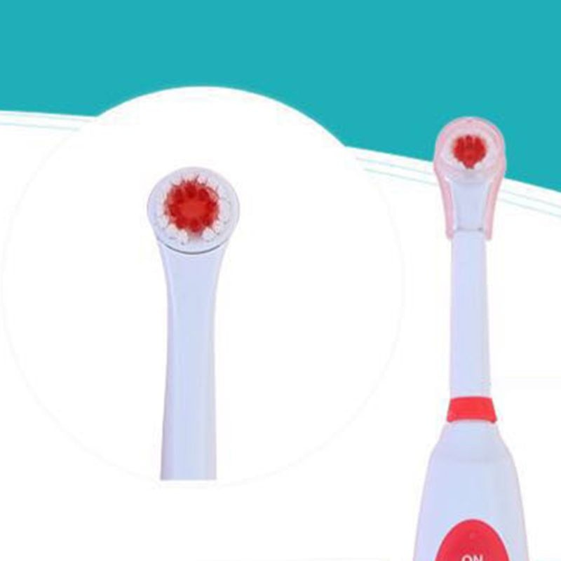 Rotary Electric Toothbrush