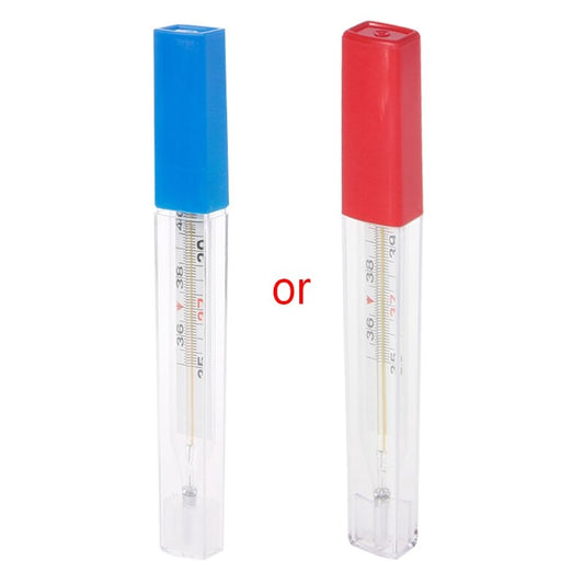 Mercury Glass Thermometer